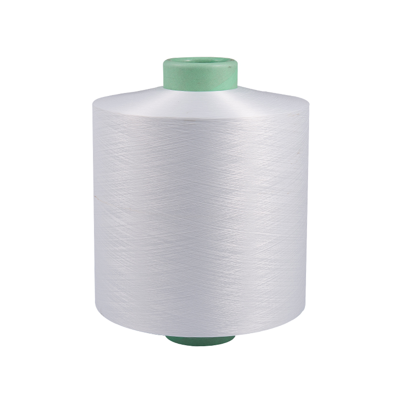 Lux eget plena matte dy